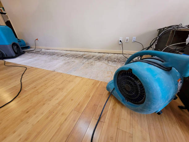 Professional Water Damage Repair technician working in Colorado, CO